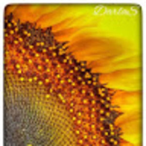 Meet your Posher, Darla